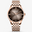 Steel Strip Brown
